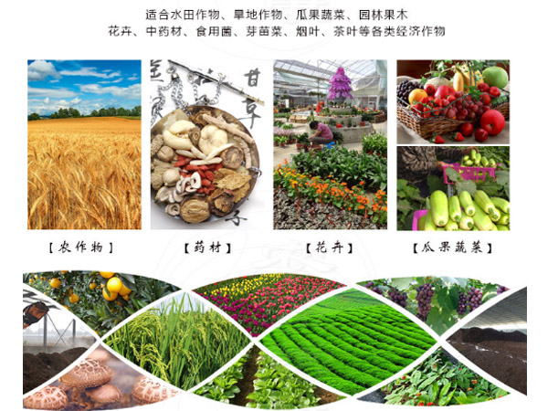 雞糞有機肥儲存技巧